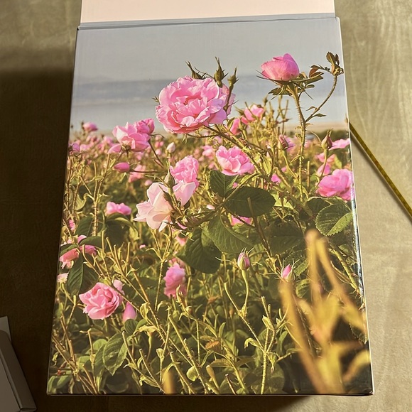 YOUNG LIVING. White glass diffuser. Hand blown glass cover. LED Lights. 6 hours - Picture 6 of 9